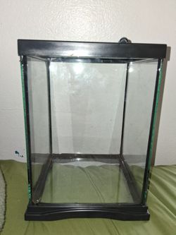 Small tall terrarium