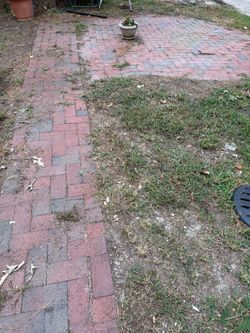 Bricks