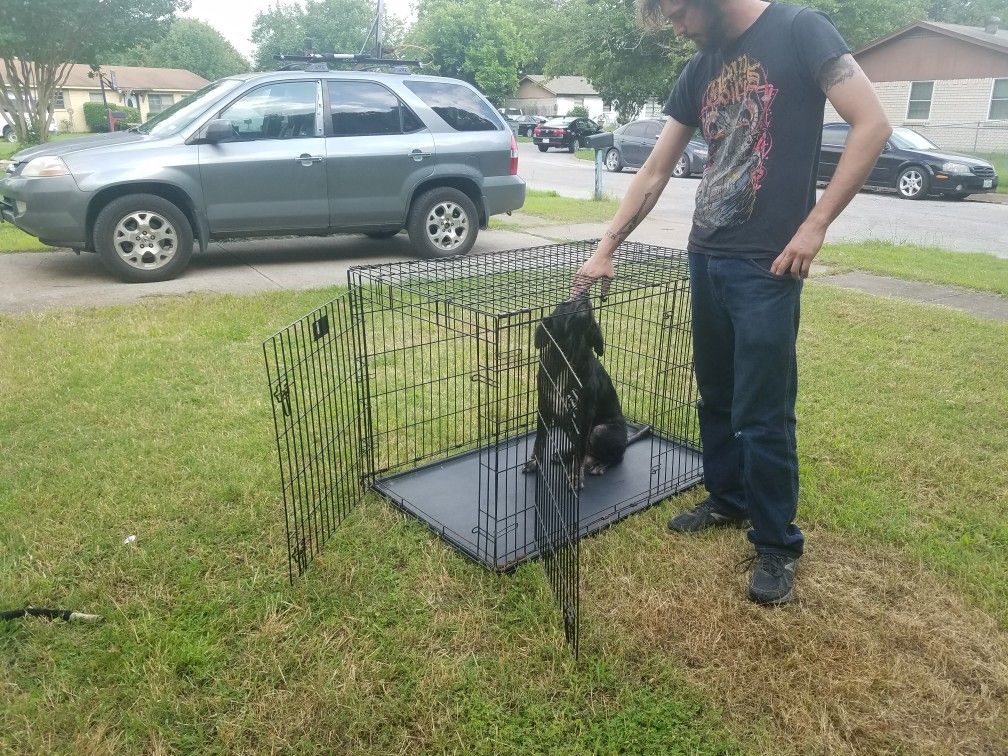 Large Dog Crates 2door 48x30x33 for Sale in Dallas, TX OfferUp