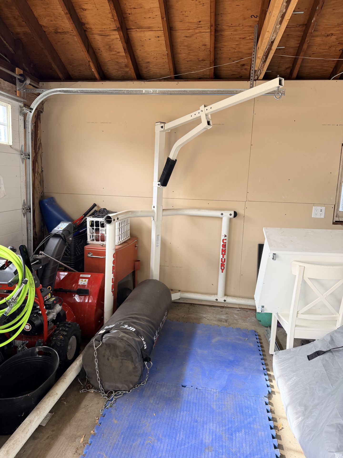 UFC BAG century frame