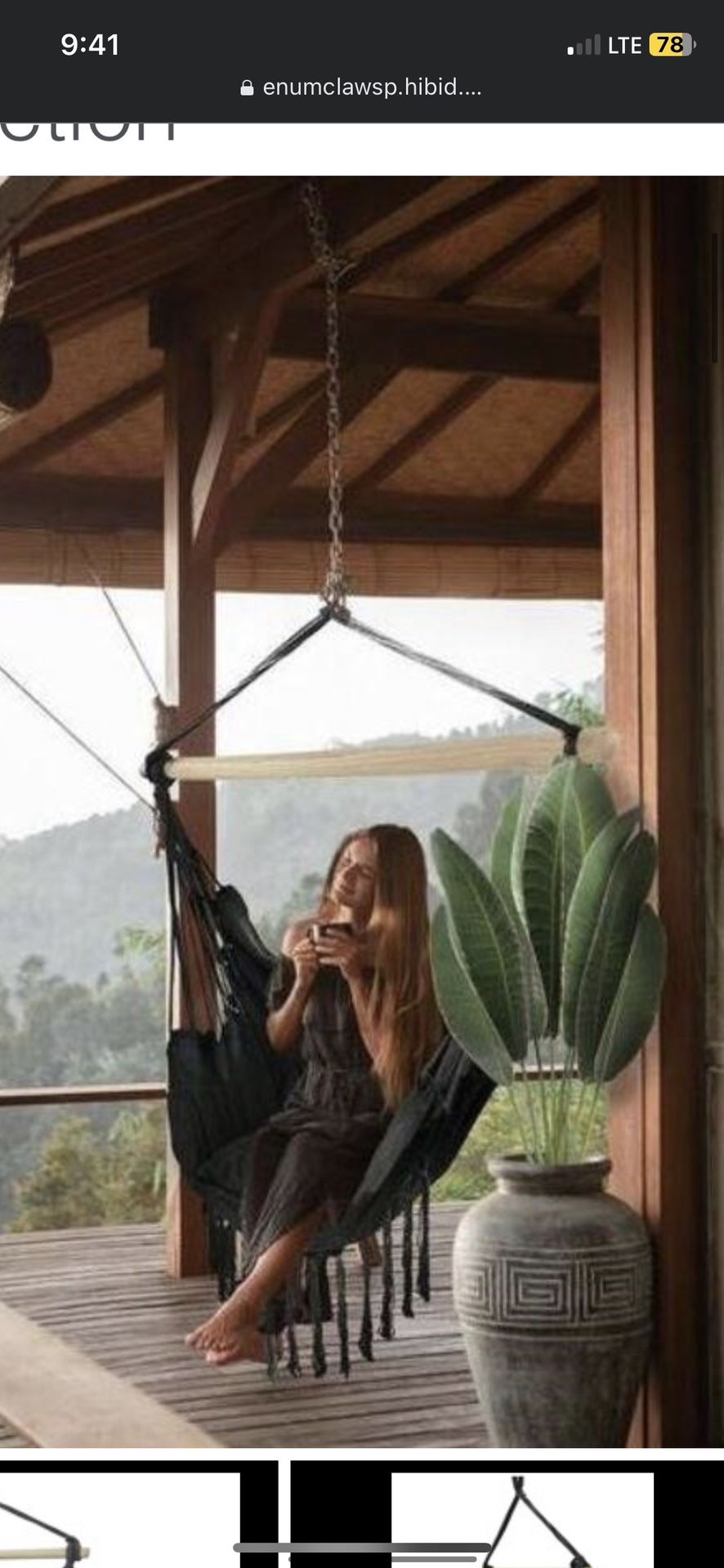 Hammock Swing