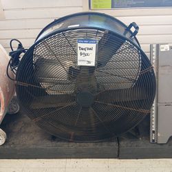 Fan
