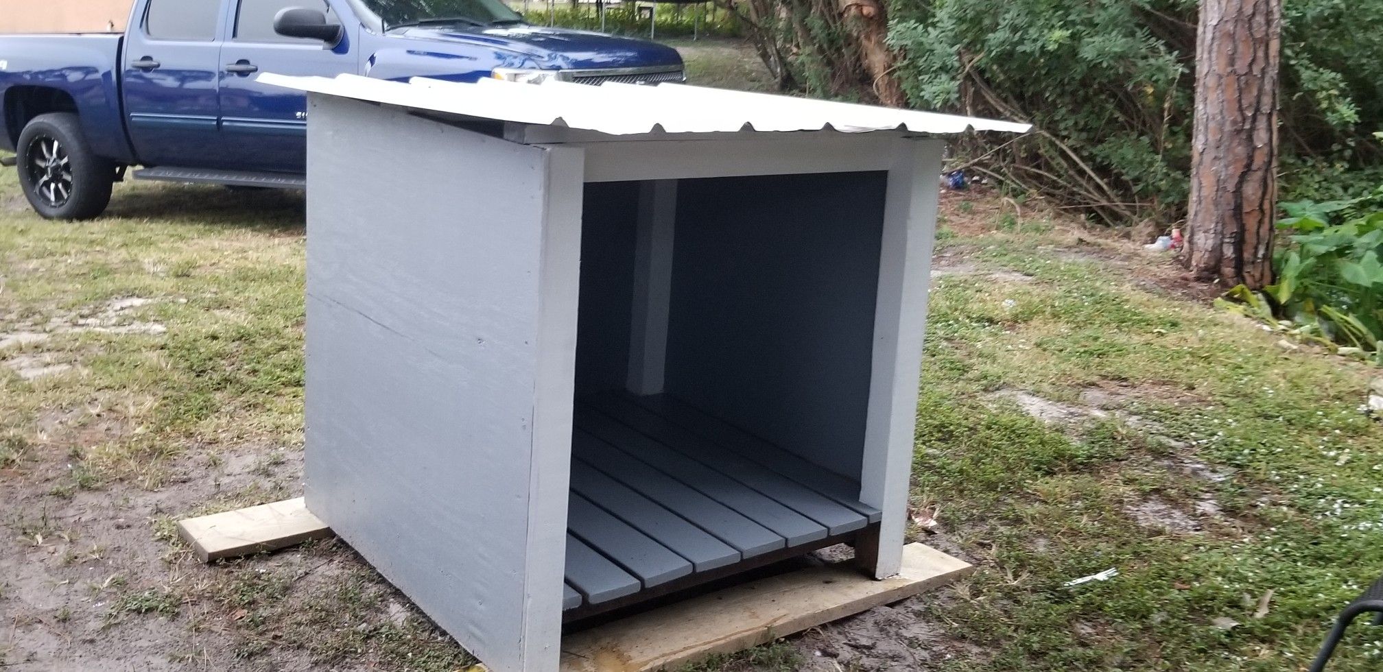 Dog House