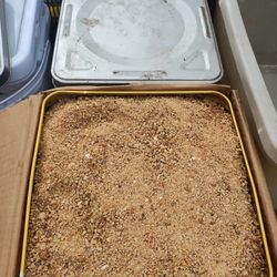 Chicken Feed 