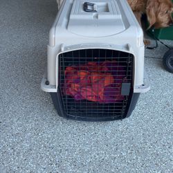 Dog Crate