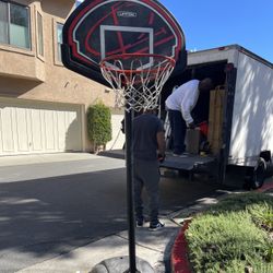 Basketball Hoops 