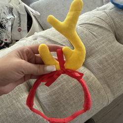 pet halloween costumes 