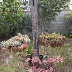 8 Metal Hanging Baskets And Plants / Plantas Colgantes Y más 