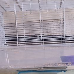 Bunny cage