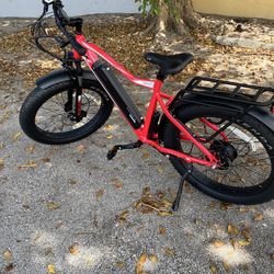 Runner x-XPlorer 750W/48v electric Bicycle