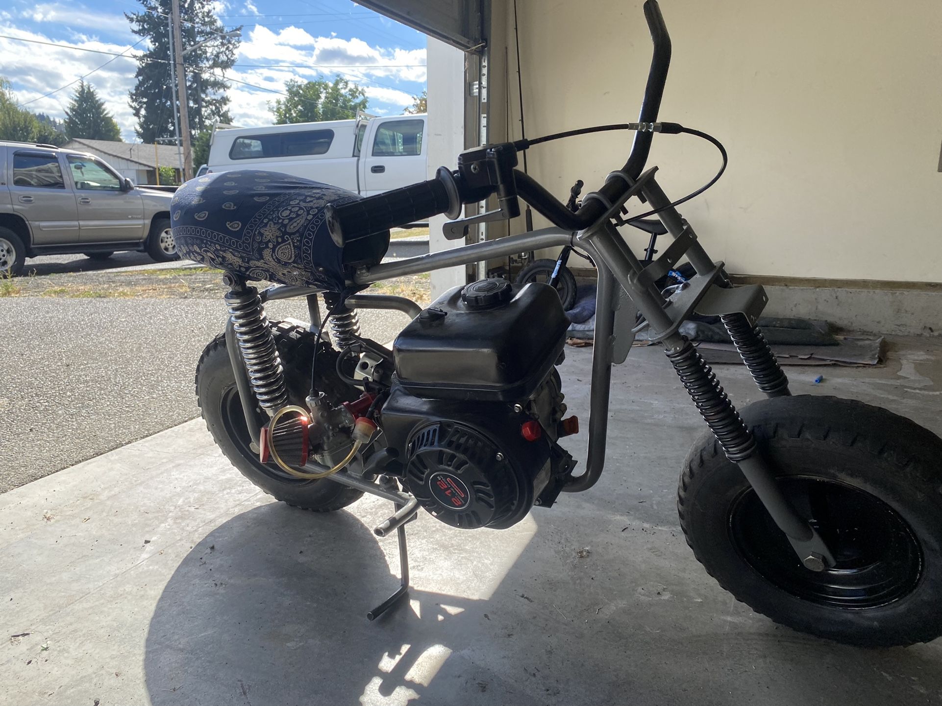 Manco ThunderBird(Tbird) Mini Bike