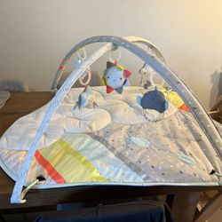 Skip Hop Activity Gym