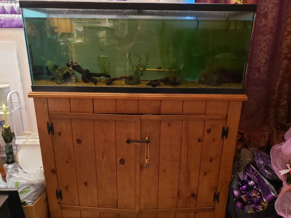 55 Gallon Tank With Stand