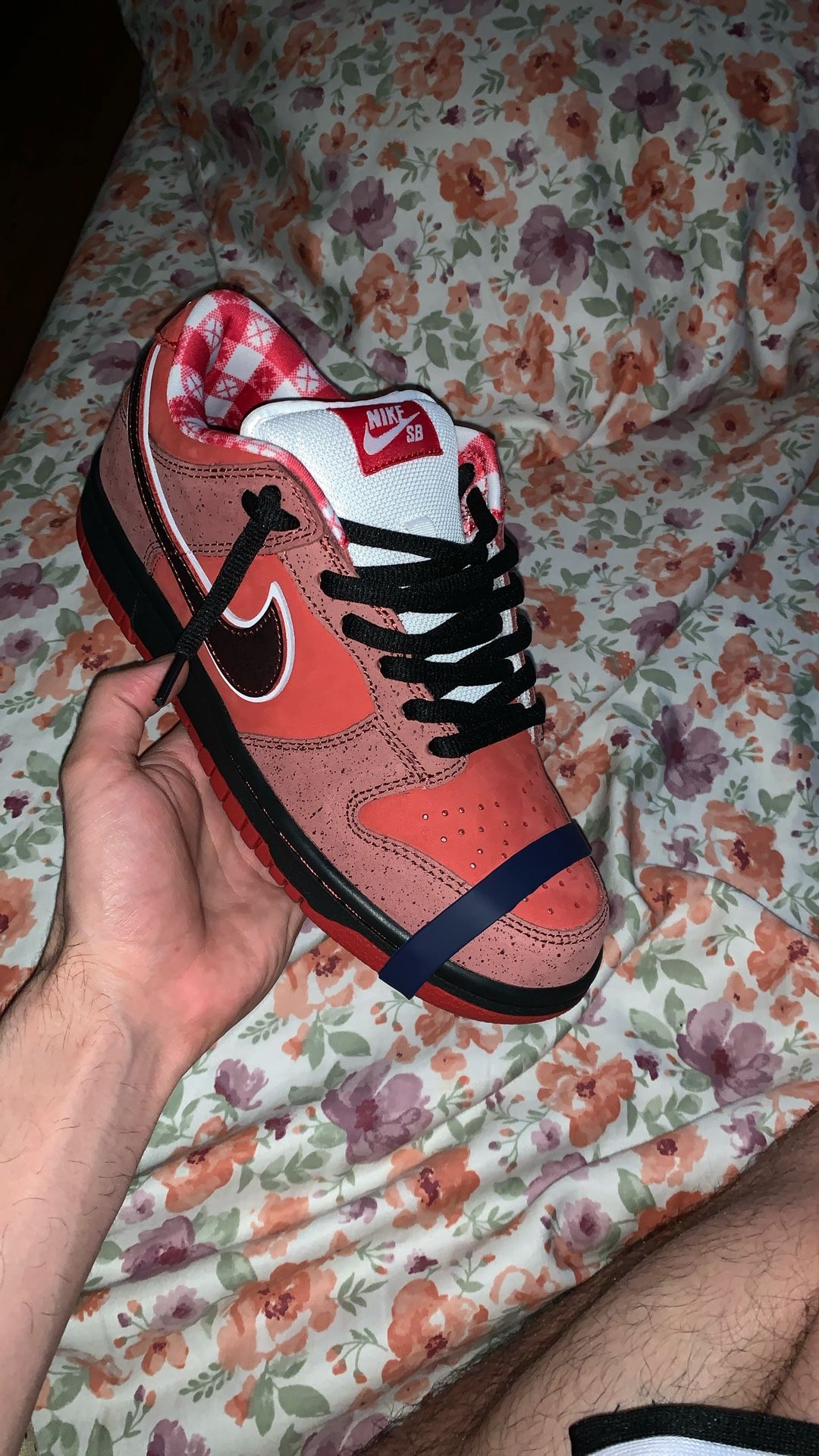 Nike Sb Lobster Size 7 Men Or Women