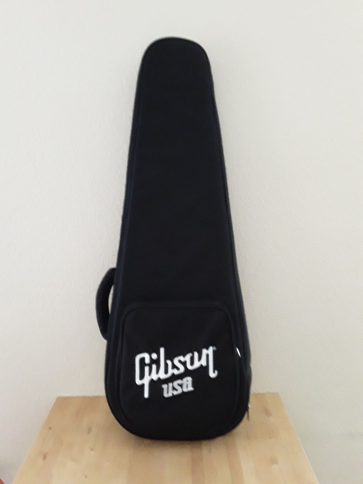 Gibson USA LP gig bag.