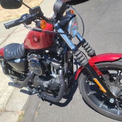 2019 Harley Davidson 883 Iron