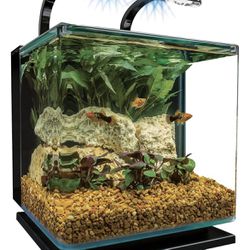 Mini Marineland Curve Glass 3 Gallon  Aquarium With Accessories And Startup Lot
