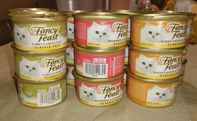 22 cat food can
