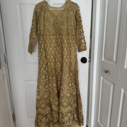 Indian/Pakistani Dress 