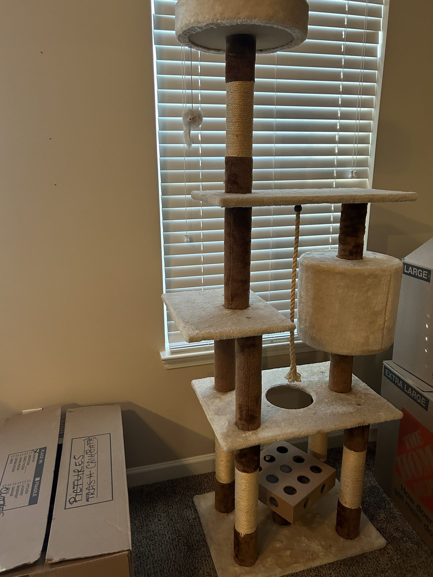 Cat Tower