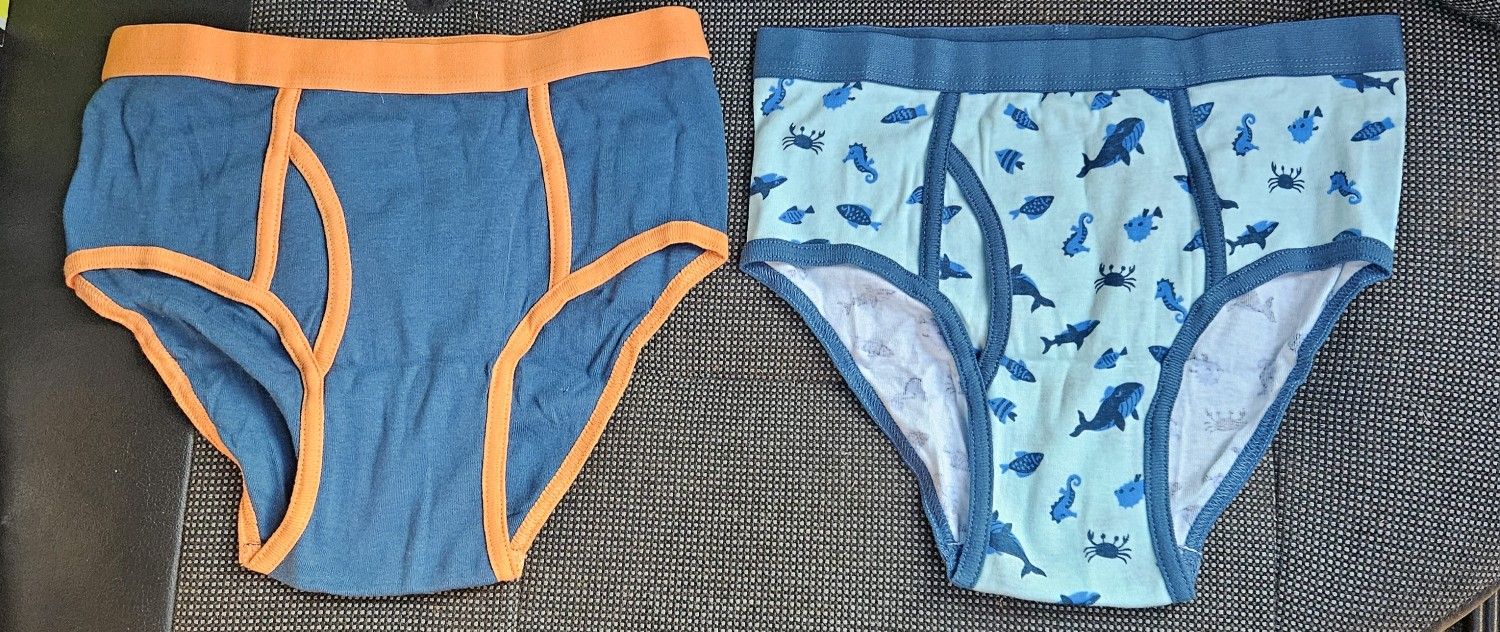 Cat & Jack Used Boys L (12/14) 4pcs Briefs