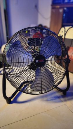 Metal Floor Fan