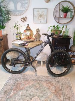 TREK Roscoe 7 2020 *Snapped Seatstay* $450