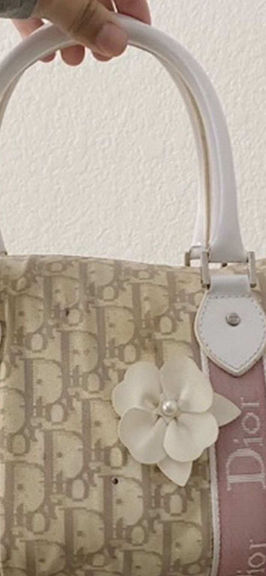 Dior tote bag In San Jose