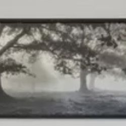 Canvas Art