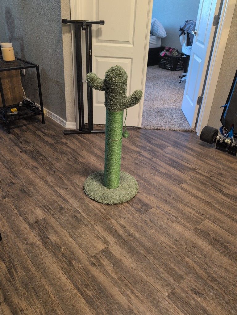 Cat Scratcher