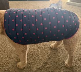 Dog rain vest