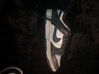 Nike Panda Dunks