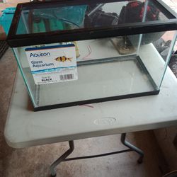 Small Aquarium New