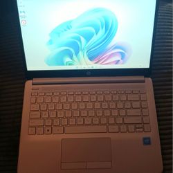 14 Inch HP Laptop Intel Quad Core 8 GB RAM 64 GB SSD Webcam HDMI USB C Thunderbolt Port 8 Hour Battery Windows 11