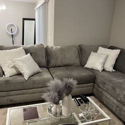 Grey Sectional Couch and Swivel Chair
