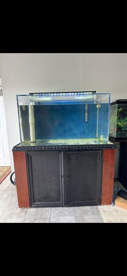 100 Gallon Aquarium Fish Tank