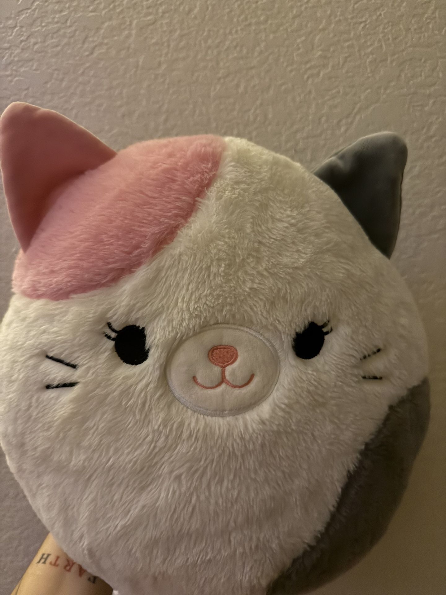 Cat Plushie