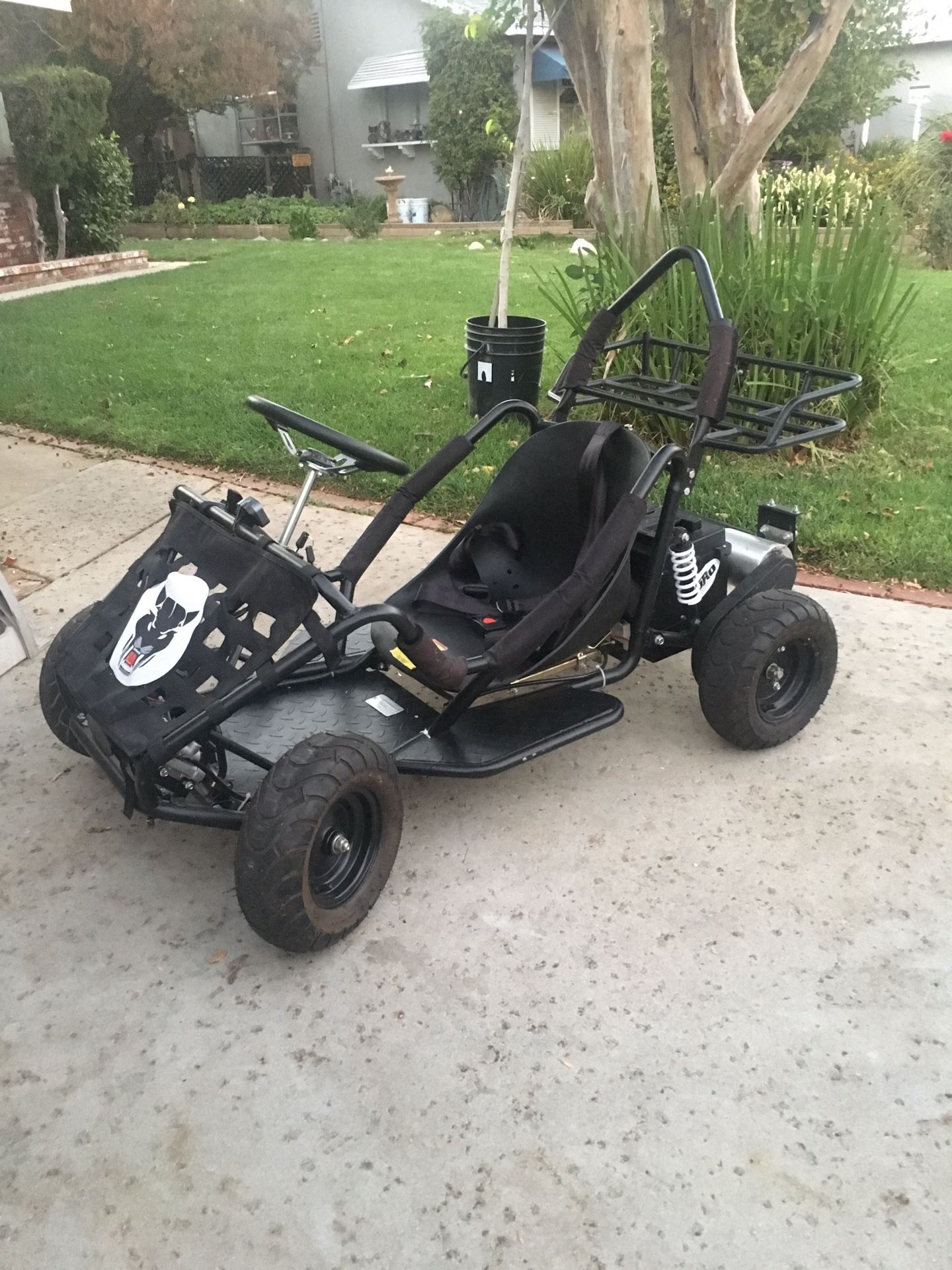 Go Kart ZXTDR Electric 48V 1800W