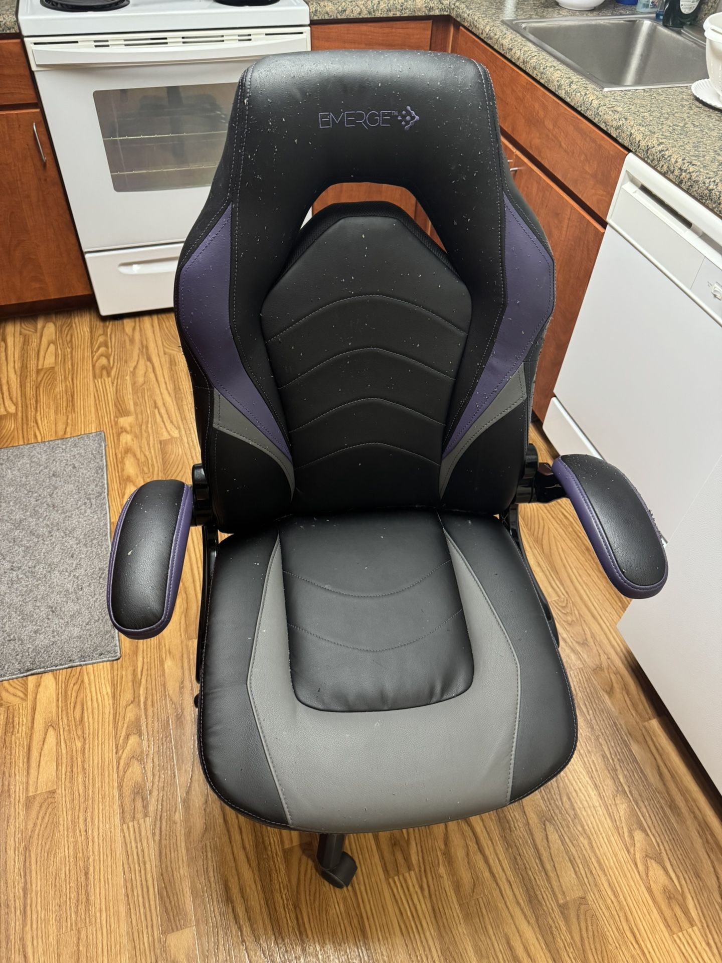 Rolling Desk Chair