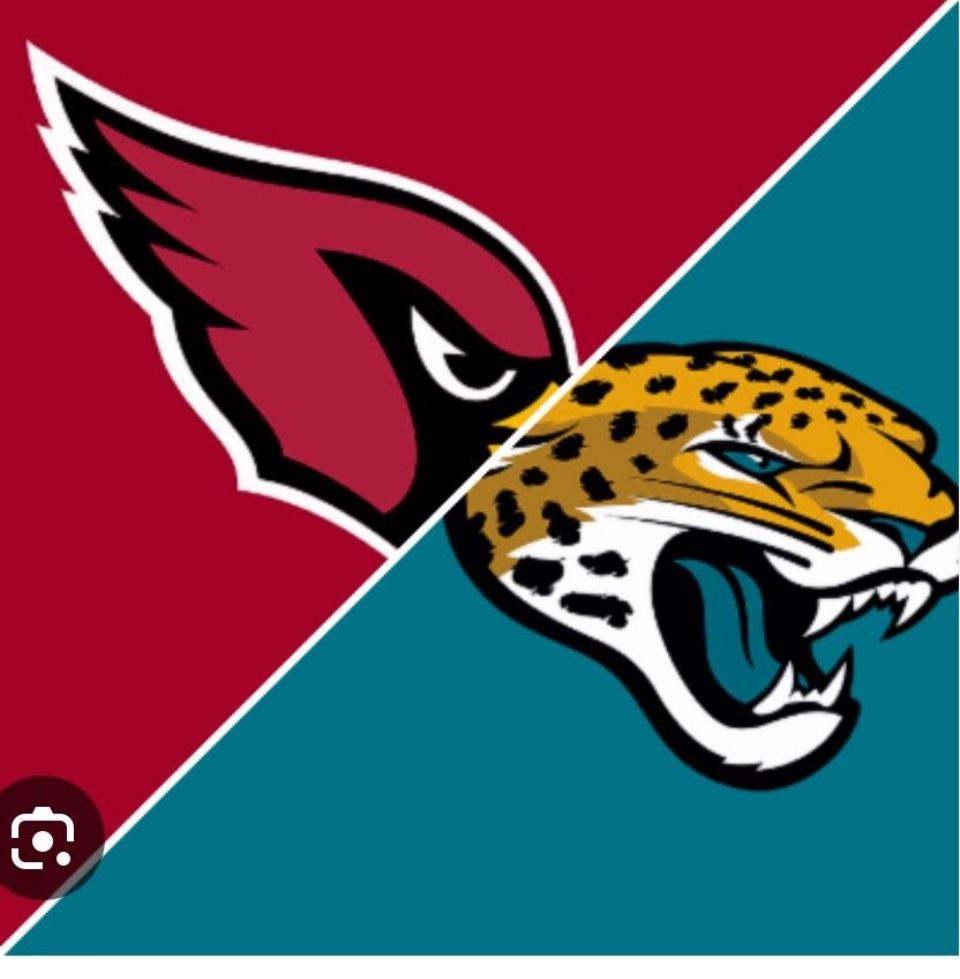 Jacksonville Jaguars Vs Arizona Cardinals Lower Level Row 4
