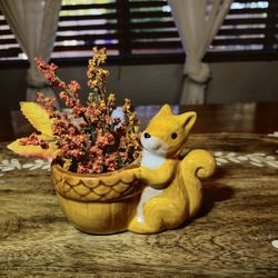 Squirrel Succulant Planter Pot