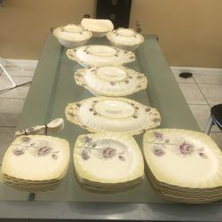 Dinner Set (set Of 8 Person) With Servering Bowls And Trays With Lids