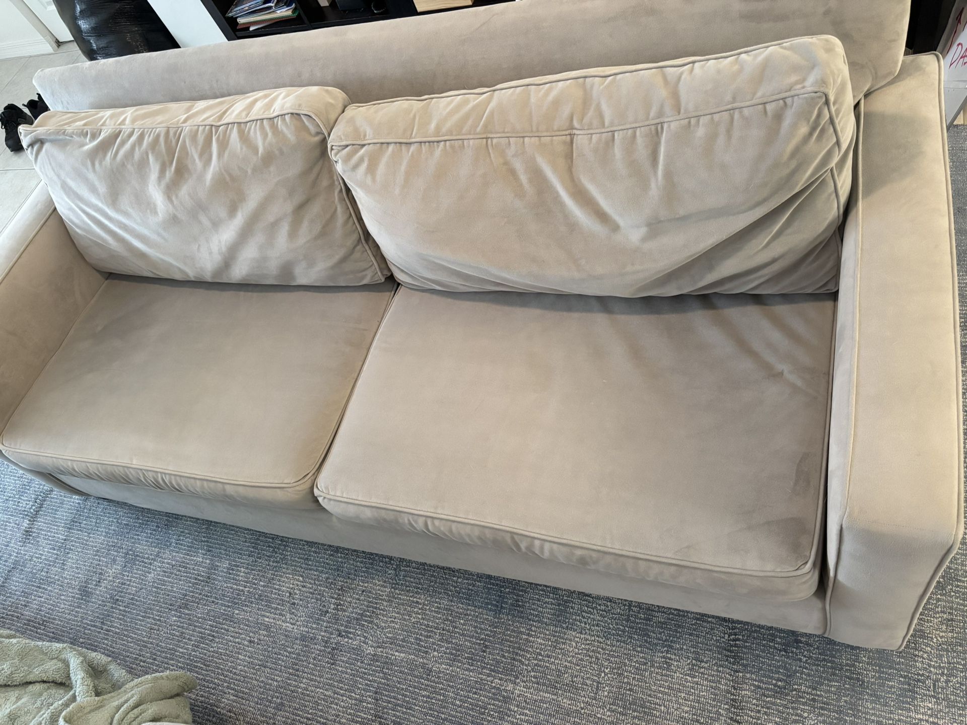 West Elm Performance Fabric Velvet Couch