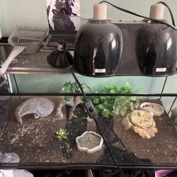 Gecko Lizard Tank 50gal