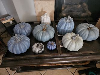 Pumpkin lot