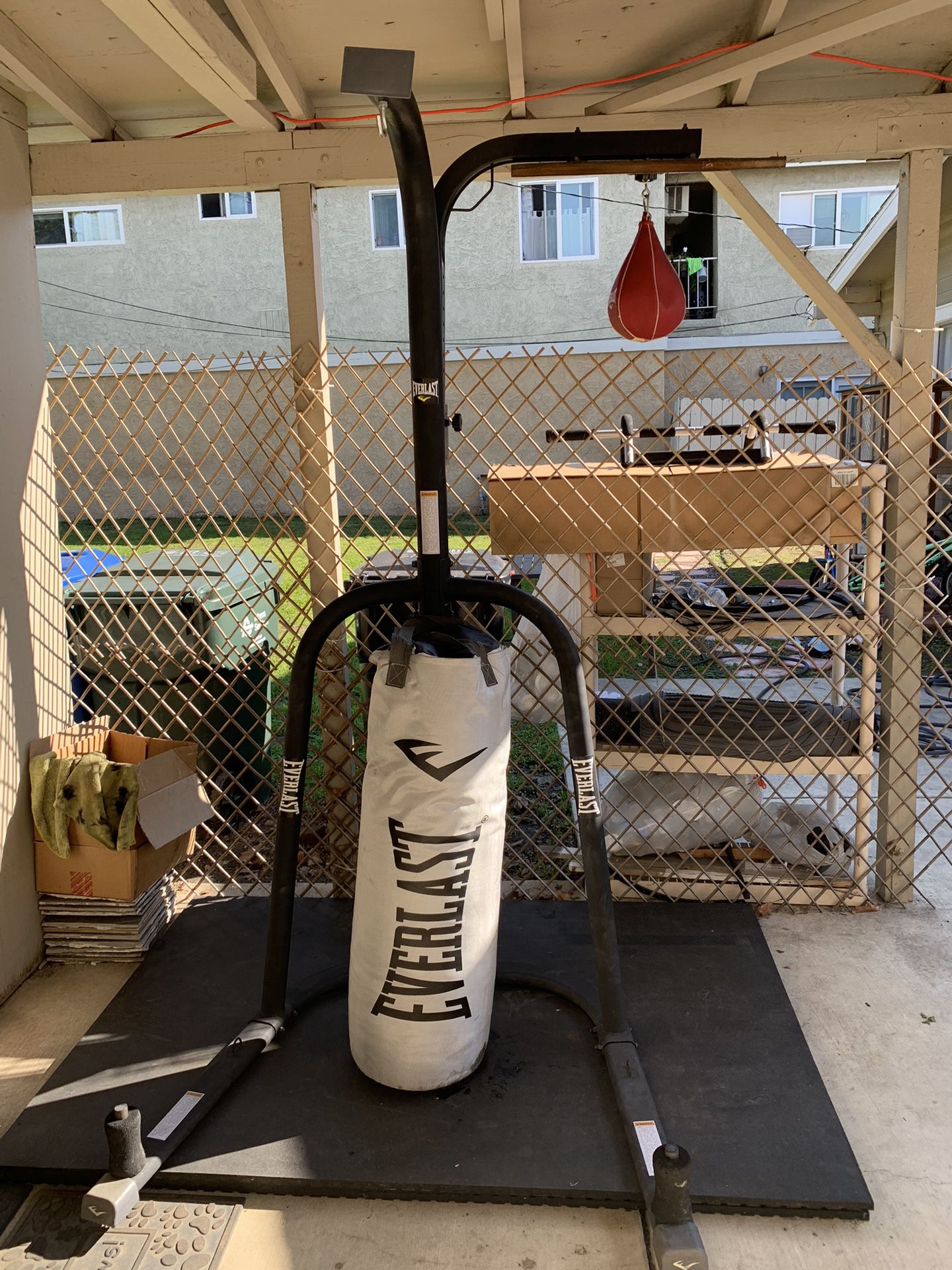 Everlast Punching And Speed Bag With Stand 