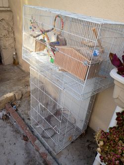 30x18 bird cages