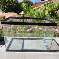 20 Gallon High Fishtank  W/ Accessories