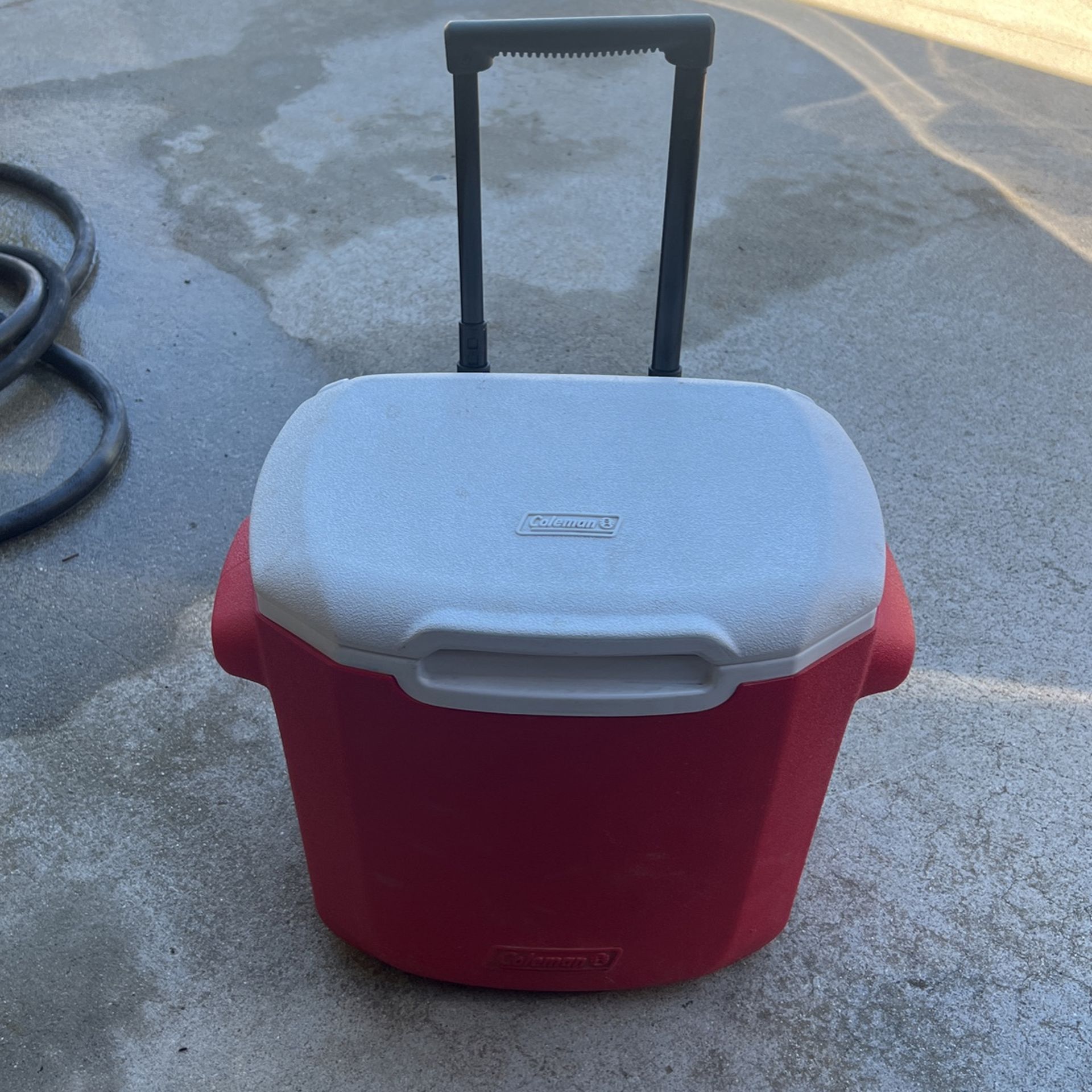 Coleman Cooler