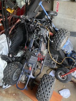 Project quads 110cc